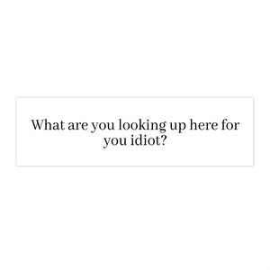 Witty Bumper Stickers, Funny Car Decals, Unique Vehicle Accessories, Hilarious Quotes, Gifts for Car Lovers