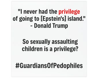 I Never Had the Privilege of Going to [Epstein's] Island - Donald Trump Car Magnet