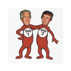 Trump Epstein Pedo 1 Pedo 2 Car Magnet image 1