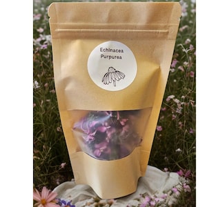 Dried Echinacea Flowers: Purple Coneflower for Tea, Salves & Crafts