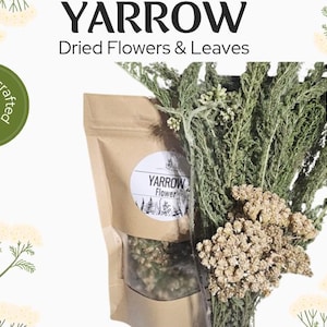 Yarrow | Achillea Millennium, Dried Yarrow |  Herbs | Wildcrafted | Dried Flowers | Natural Herbs | Salves | Tinctures | Soap