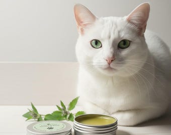 Moisturizing Pet Balm For Dogs & Cats • Hot Spots • Paw Pads • Grooming Care • Herbal Salve
