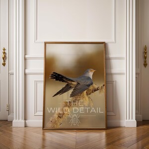 May include: A framed print depicting a bird with blue and grey plumage perched on a branch. The print has the text "THE WILD DETAIL" and a small insect illustration. The bird's beak is yellow. The artwork is displayed in a room with white doors.