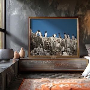 Kolonie zeekoeten op klif: kustzeevogel fotografie print, vogelreservaat natuur kunst, oceaan wildlife scene British Wildlife | Kantoor: