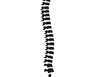 Backbone spine Roller Derby Helmet Decal