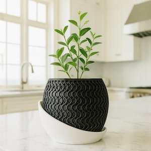 Peut inclure: Un pot de fleurs noir texturé avec une soucoupe blanche incurvée, contenant une plante verte à plusieurs feuilles. Le pot présente un motif de vagues répétées. La plante est dans une cuisine blanche et lumineuse.