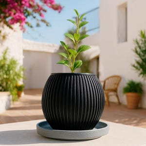 Può includere: Un vaso sferico nero e scanalato con una piccola pianta verde, appoggiato su un piattino grigio. Il vaso è su un tavolo di colore chiaro, con uno sfondo sfocato di un edificio bianco e fiori rosa.
