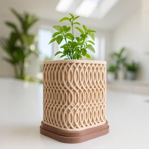 Può includere: Un vaso beige a motivi geometrici con base marrone, che contiene una vivace pianta verde. Il vaso ha un design unico e intrecciato. La pianta ha molteplici foglie verdi. Il vaso è su una superficie bianca.