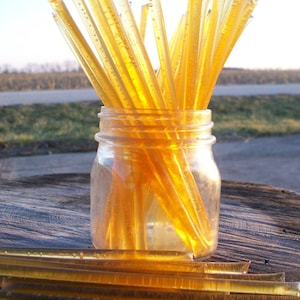 Honey Sticks  -Fall Honey - 100 honey filled straws