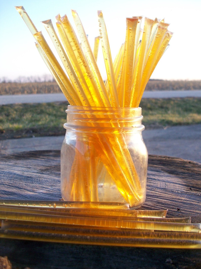 Honey Sticks fall Honey 100 Honey Filled Straws Etsy
