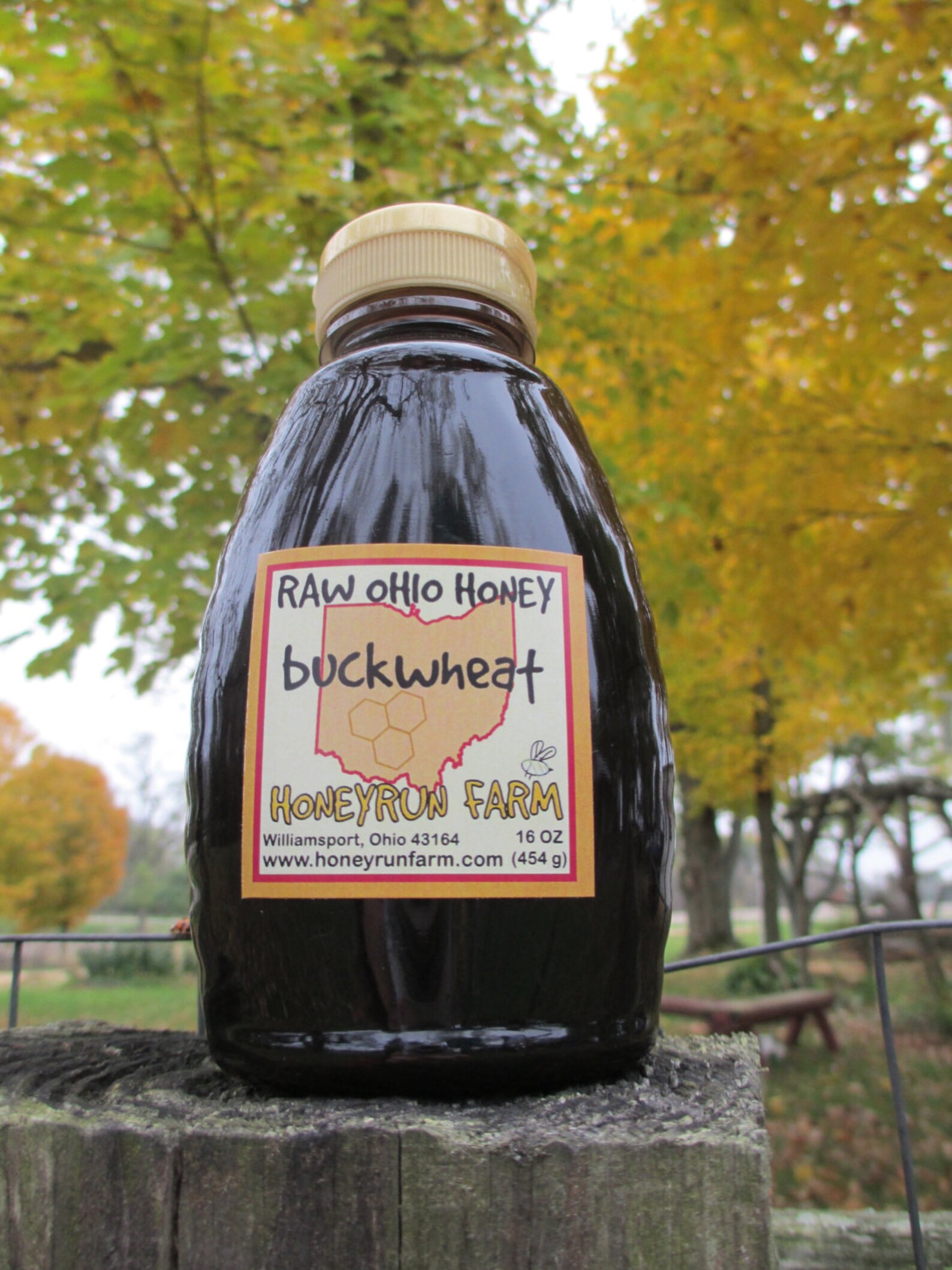 Buckwheat Honey pure Raw Ohio Honey 16 Ounce Jar Etsy