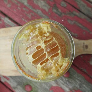 Comb Honey in a Jar Pint of Raw Honey image 4