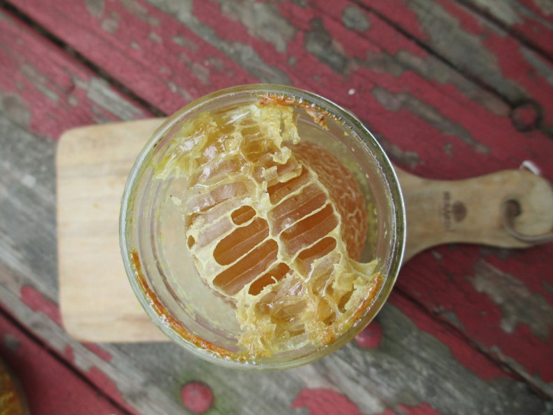 Comb Honey in a Jar Pint of Raw Honey image 4