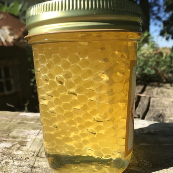 Pure Raw Chunk Honey Half Pint - 10 ounces