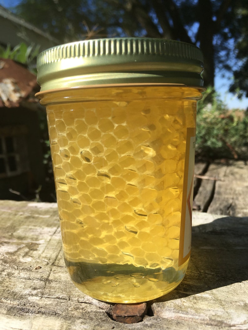 Pure Raw Chunk Honey Half Pint 10 ounces Etsy