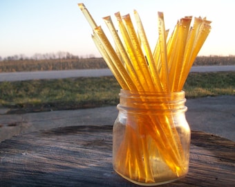 Honey Sticks -Pure Fall Honey - 25 honey filled straws