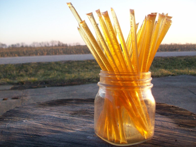 Honey Sticks -Pure Summer Honey - 25 honey filled straws, honeysticks