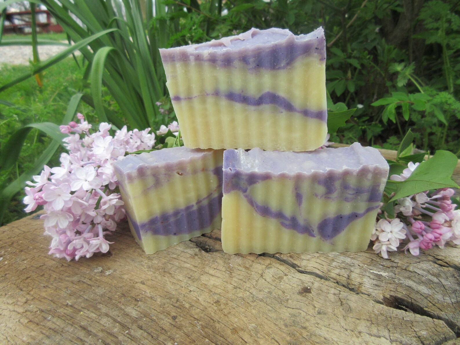 Lilac Blossom Soap Cold Processed Soap Made With Honey and Etsy
