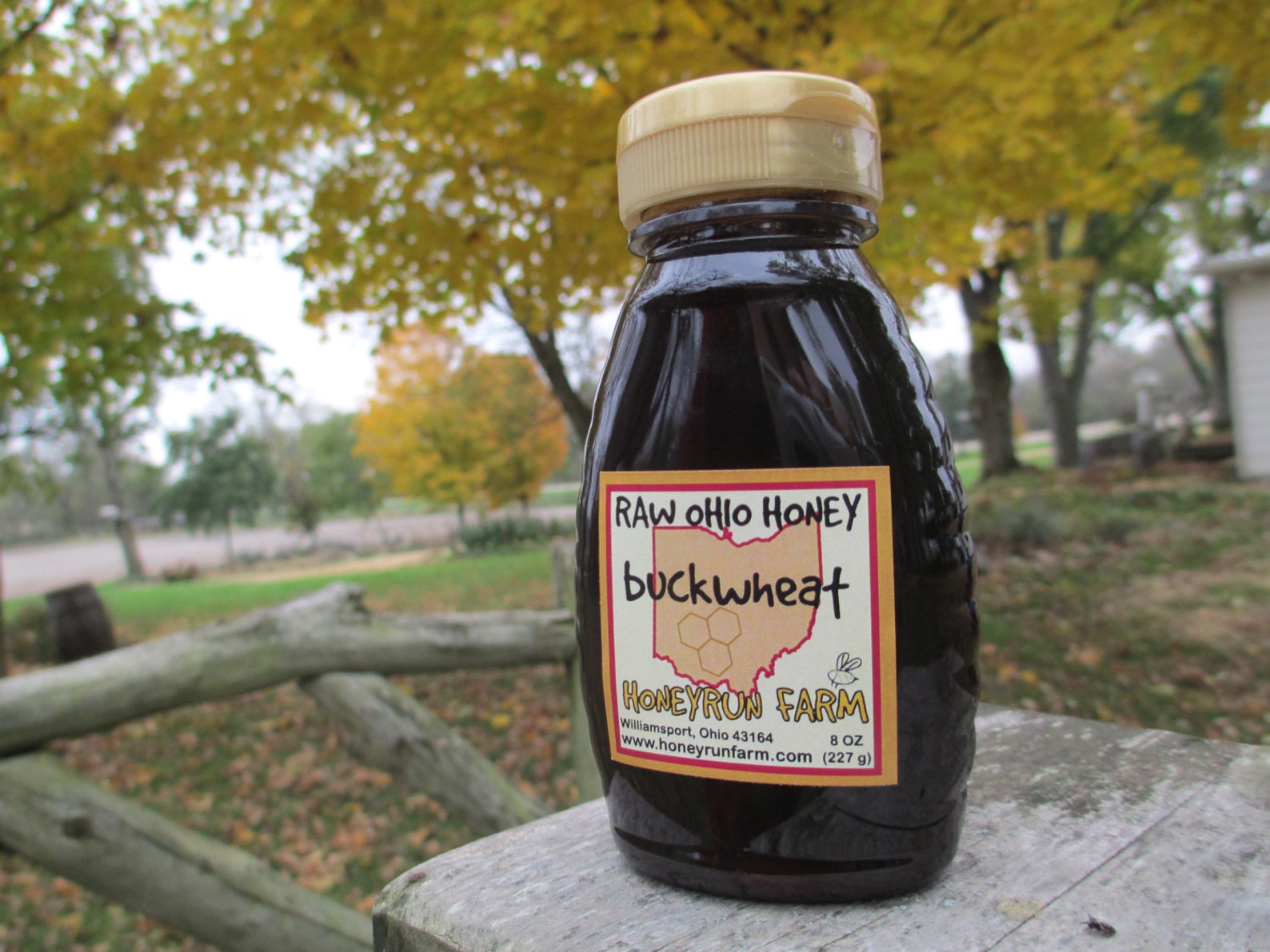 Buckwheat Honey Pure Raw Ohio Honey 8 ounce jar Etsy