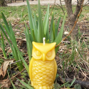 Beeswax Candle Owl shaped image 4