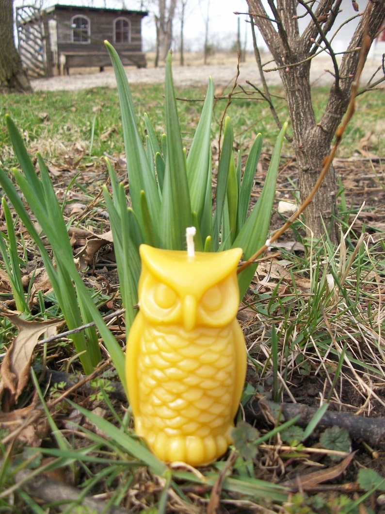 Beeswax Candle Owl shaped image 4