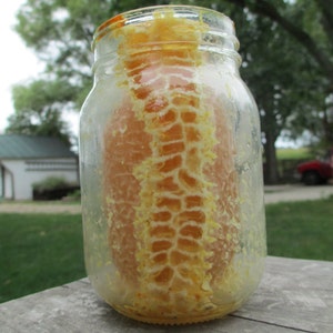 Comb Honey in a Jar Pint of Raw Honey image 1