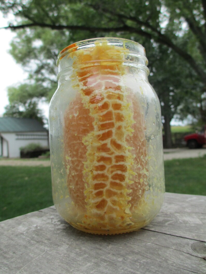 Comb Honey in a Jar Pint of Raw Honey image 1