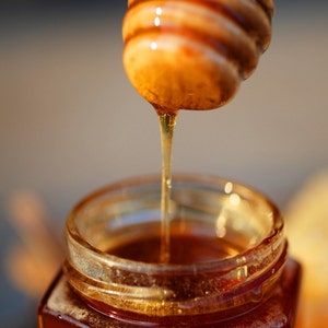 Pure Raw Ohio Fall Honey 8 ounce jar image 2
