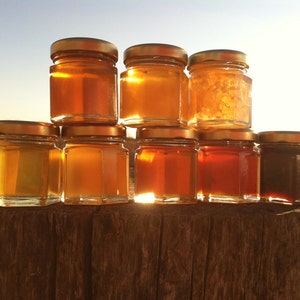 Honey Sampler - 8 varieties of pure raw honey