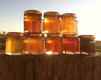 Honey Sampler - 8 varieties of pure raw honey