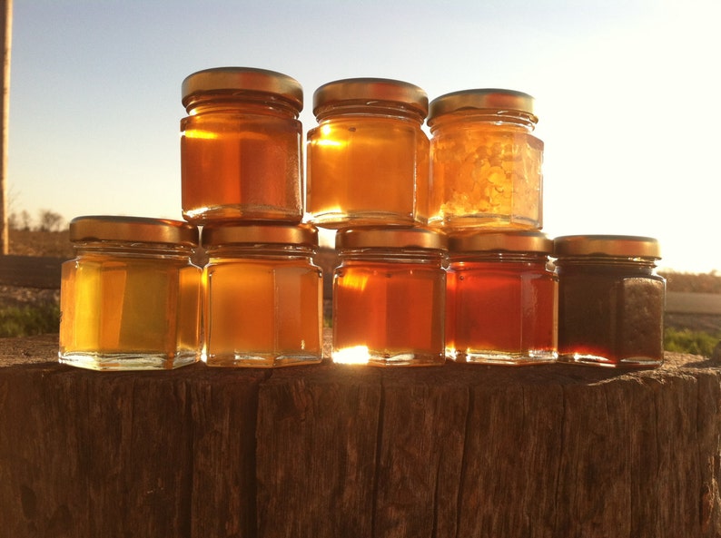 Honey Sampler 8 varieties of pure raw honey image 1