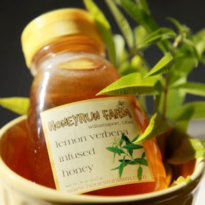 Lemon Verbena Infused Honey - 8 ounce jar