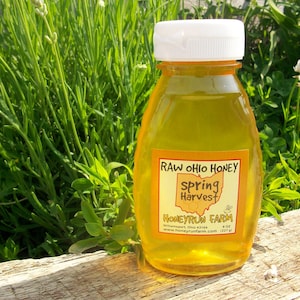 Pure Raw Spring Honey - 8 ounce jar - nectar from Black Locust, Bush Honeysuckle,  Autumn Olive