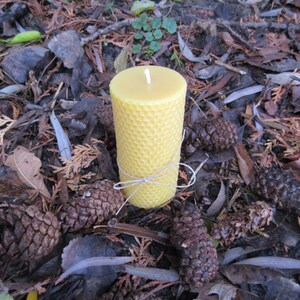 Hexagon Cylinder Beeswax Pillar Candle image 4