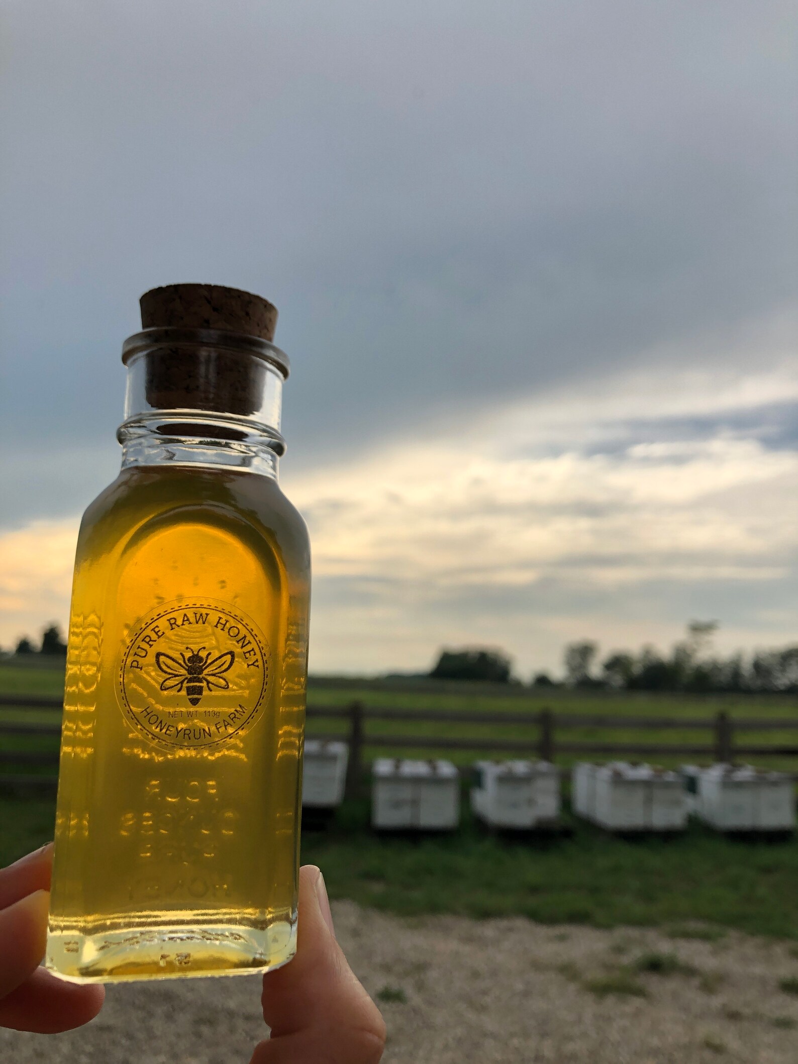 20 Muth Jar Honey Favors Pure Raw Summer Honey 4 Oz Etsy