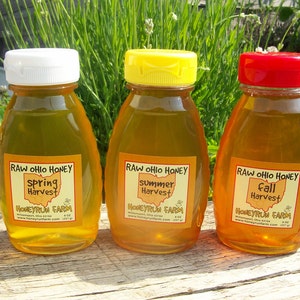 Raw Honey Sampler Spring, Summer, and Fall Honey Three 8 ounce bottles image 2