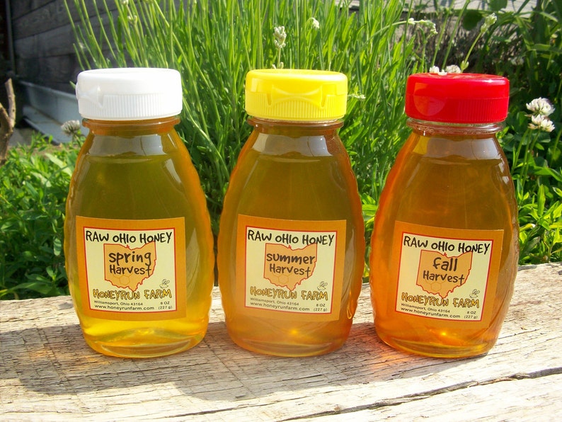 Raw Honey Sampler Spring, Summer, and Fall Honey Three 8 ounce bottles image 2