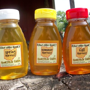 Raw Honey Sampler Spring, Summer, and Fall Honey Three 8 ounce bottles image 3