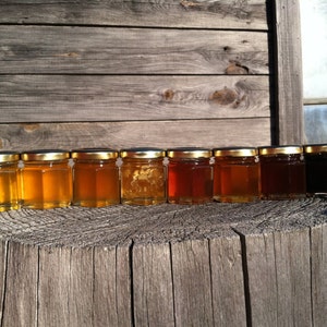 Honey Sampler 8 varieties of pure raw honey image 4