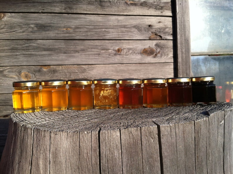 Honey Sampler 8 varieties of pure raw honey image 4