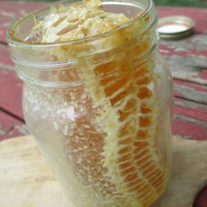 Comb Honey in a Jar Pint of Raw Honey image 3