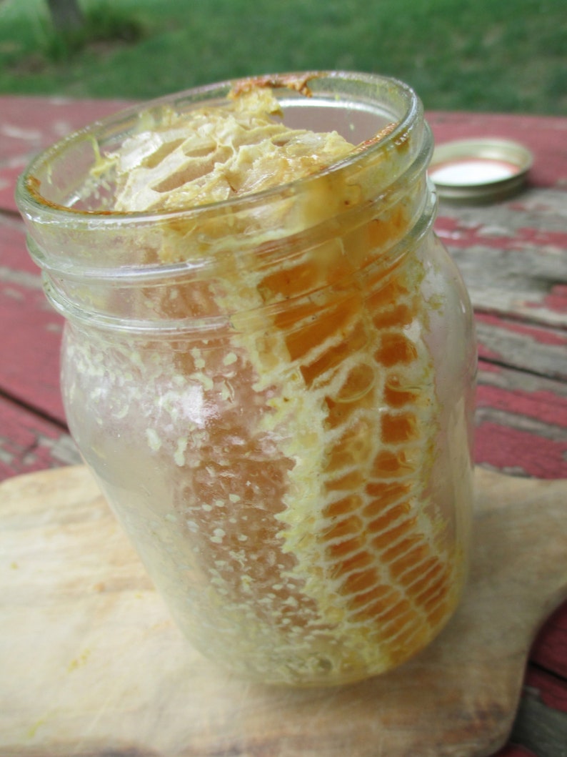 Comb Honey in a Jar Pint of Raw Honey image 3