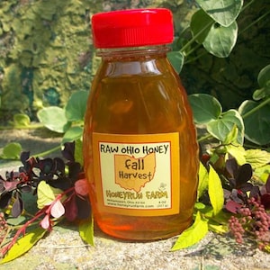 Pure Raw Ohio Fall Honey -8 ounce jar