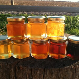 Honey Sampler 8 varieties of pure raw honey image 3