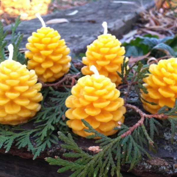 Beeswax Candles - Set of 5 Pinecones, 1.5" wide