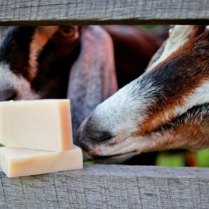 Goat&#39;s Milk Soap - natural soap made with honey and beeswax