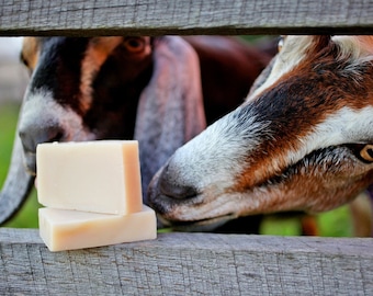 Goat's Milk Soap - natural soap made with honey and beeswax