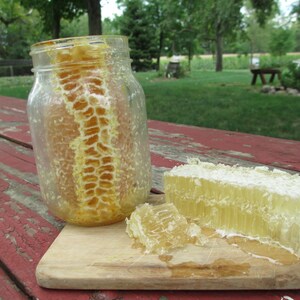Comb Honey in a Jar Pint of Raw Honey image 2