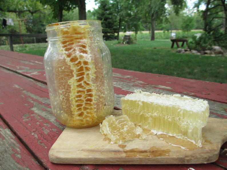 Comb Honey in a Jar Pint of Raw Honey image 2