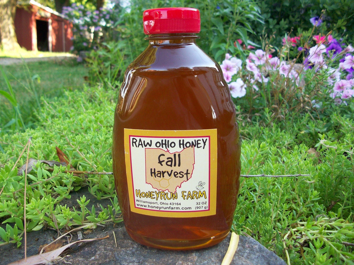 Pure Raw Ohio Fall Honey - 32 ounce jar